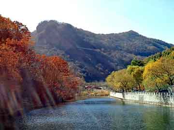 管家婆黑白马报图库，丽婷野葛根怎么样